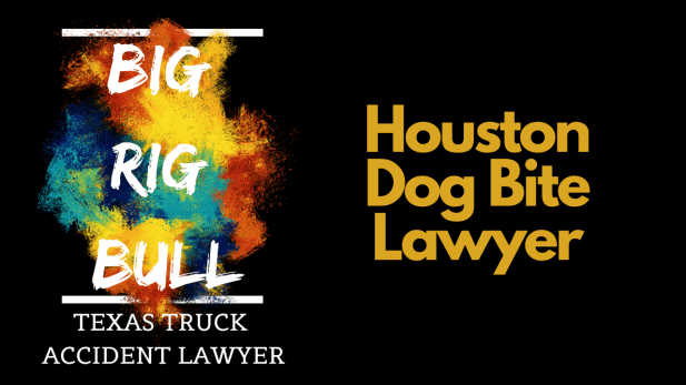 houston dog bite lawyer